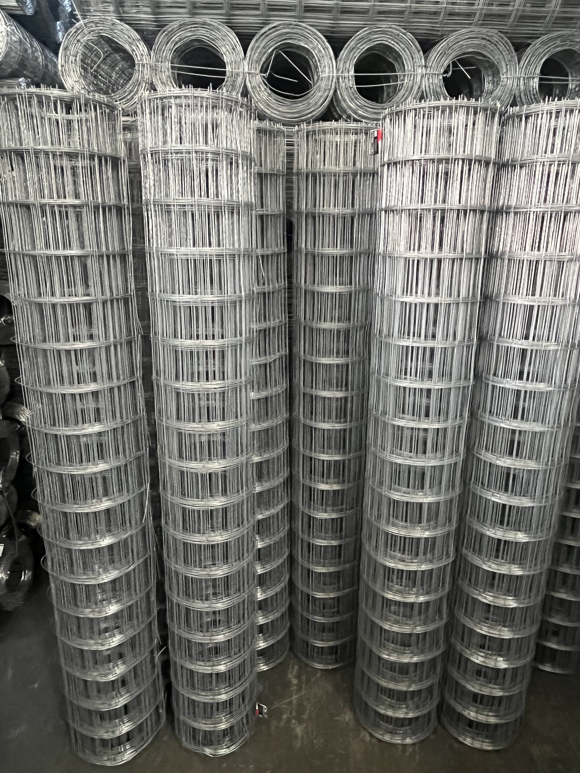 Upright rolls of galvanized welded wire mesh