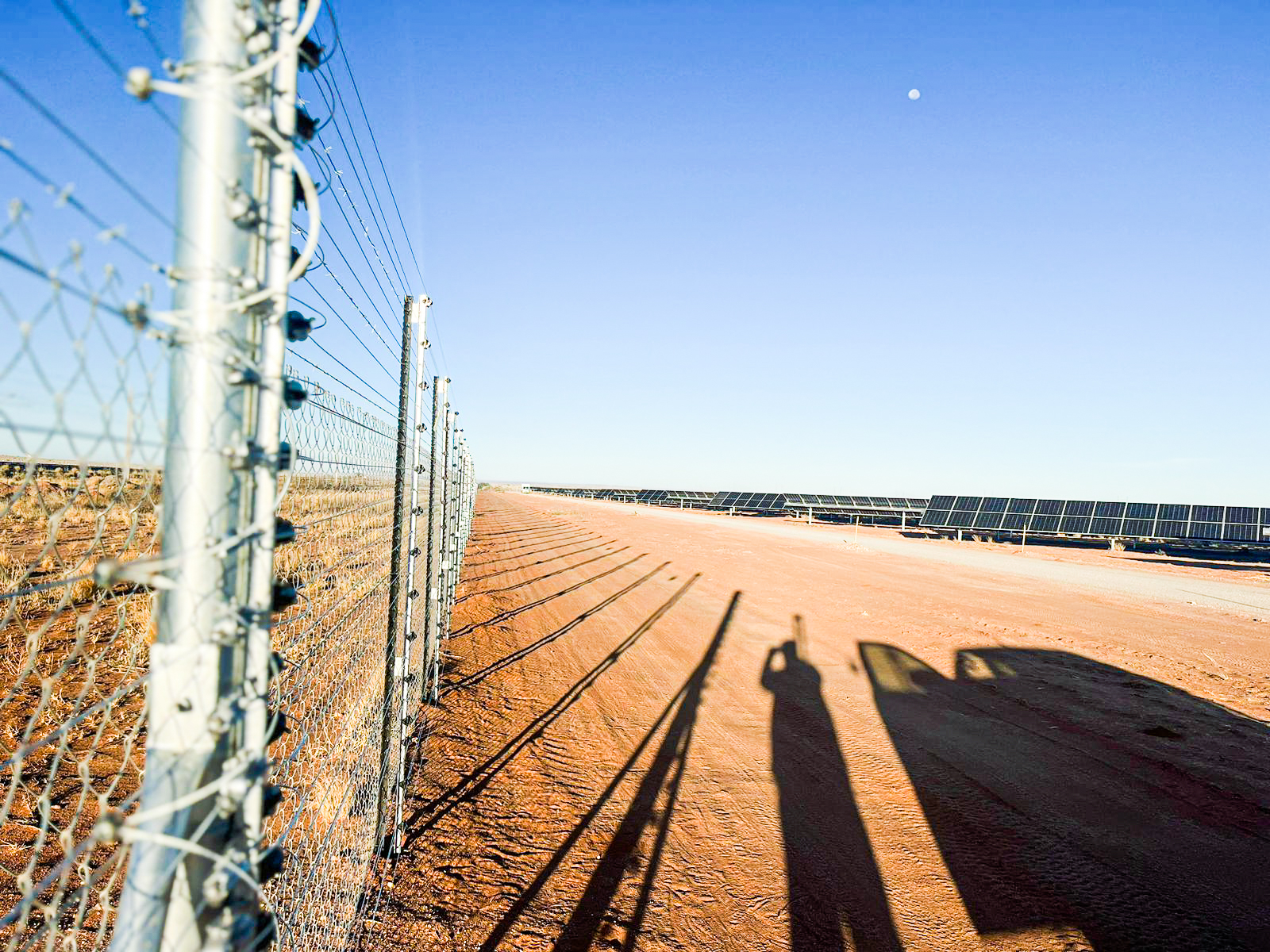 Diamond mesh with piggyback electric fence