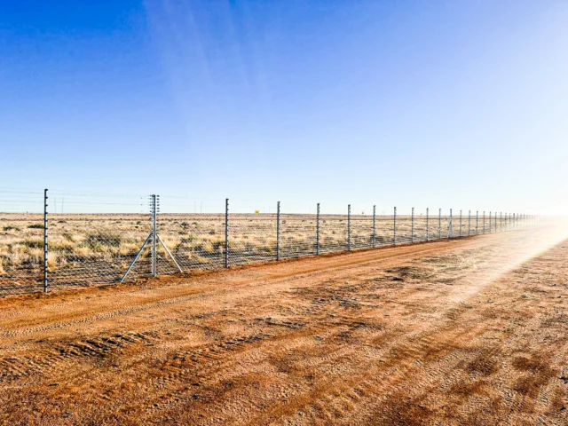 Free standing electric fencing